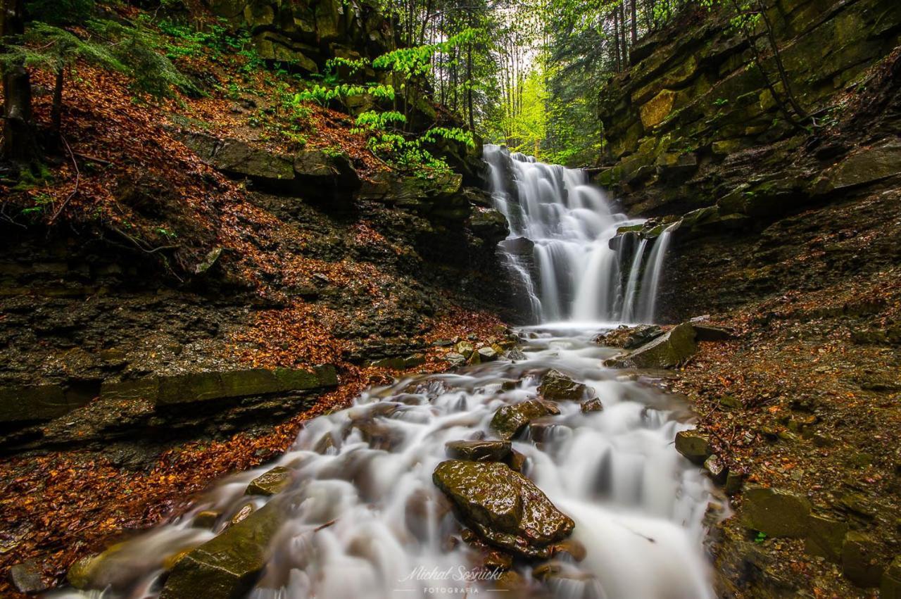 Beskid Zawoja Esterno foto